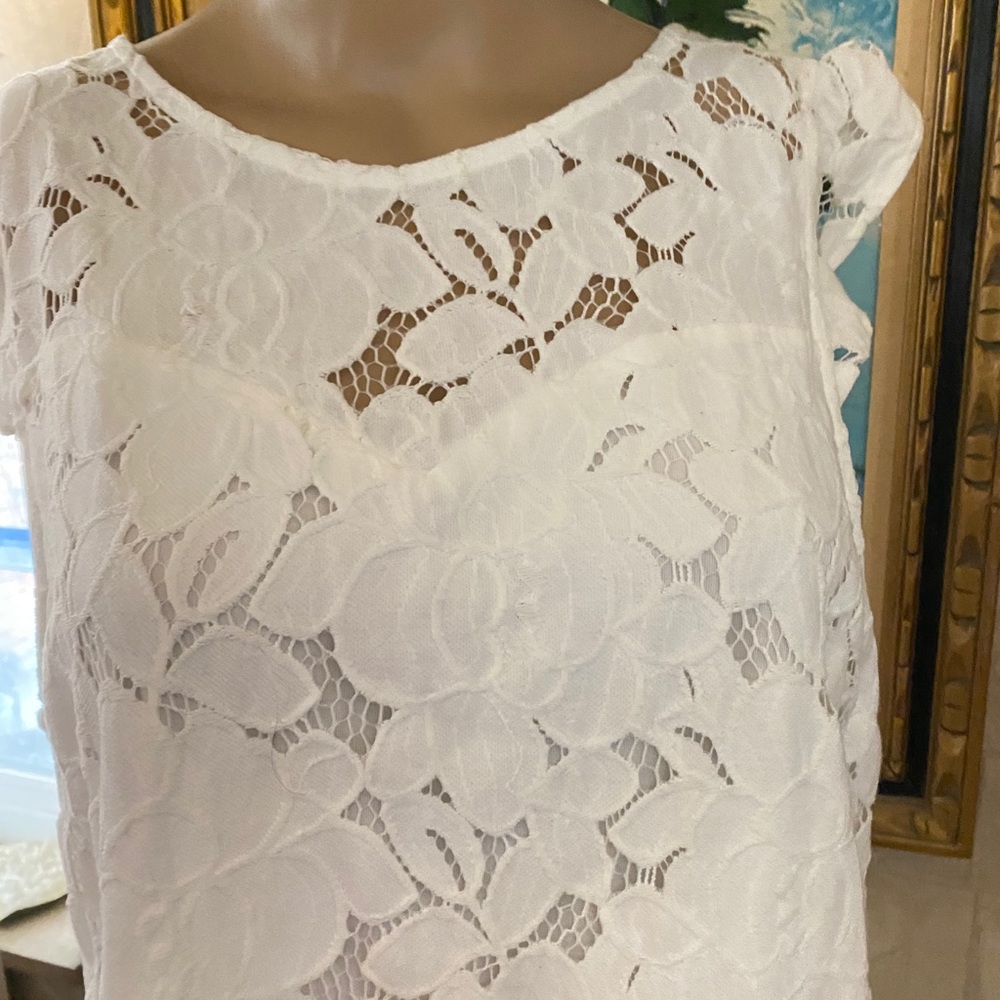 Anthropology Monteau Lace Dress  XL